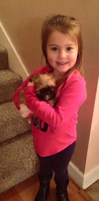 a little girl holding a small dog on the stairs